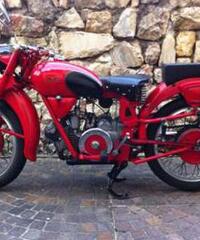 Moto Guzzi - Airone Sport 250 - 1953 - Trentino - Alto Adige