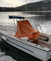 Barca con fuoribordo