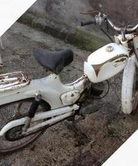 Motorino Ducati d'epoca - Anni 60