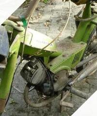 Moto Guzzi Altro modello - Anni 60