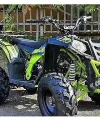 NUOVO Quad COMMANDER 125 cc R8 MAXI